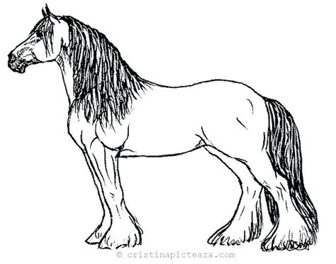 Horse Coloring Pages Drawing Sheets With Horses
