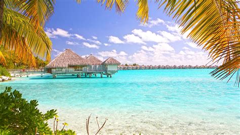 Tropical Beach Bora Bora Polynesia Desktop Wallpaper