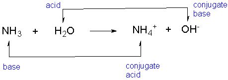Three different types of bases are examined in detail to see how they react with acids. What is the conjugate acid of NH3? - Quora