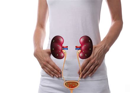Top Symptoms Of Urinary Tract Infection American Academy Of Medicine Nutrition
