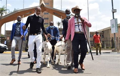 Odinga alijitupa katika ulingo wa siasa nchini kenya mwaka. Babu Owino names two goats after Raila and Uhuru, Kenyans ...