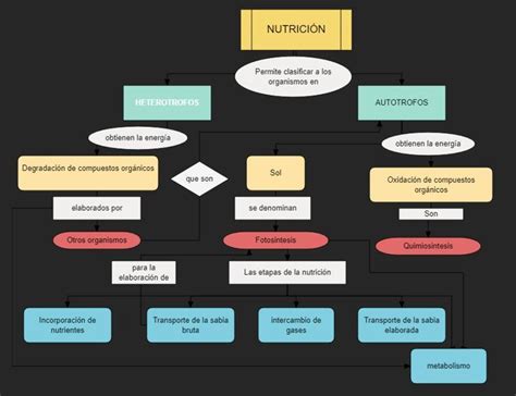 un mapa conceptual de la nutrición la nutrición autótrofa y la