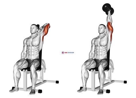 Dumbbell Seated Reverse Grip One Arm Overhead Tricep Extension Home