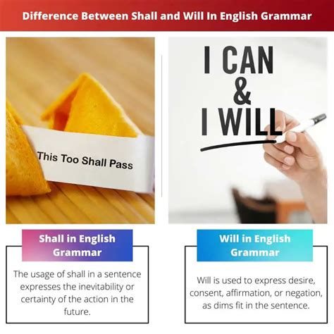 🐈 Difference Between Shall And Will Grammar Shall Vs Will Difference