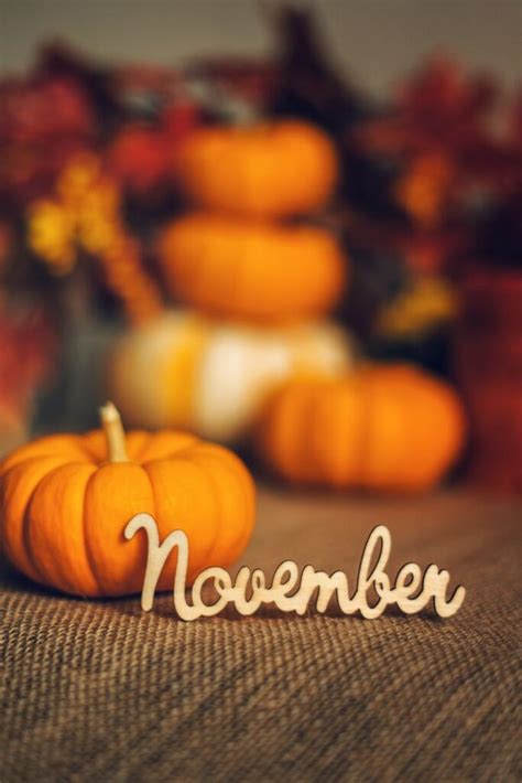 21 Fun Facts About November That Will Amaze You 2023 Facts