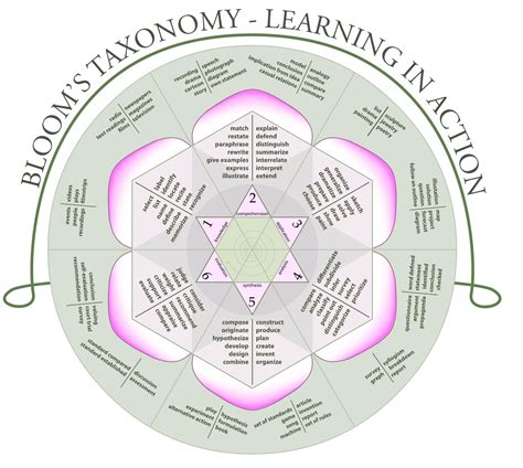 Awesome Poster Blooms Taxonomy Rose Educators Technology
