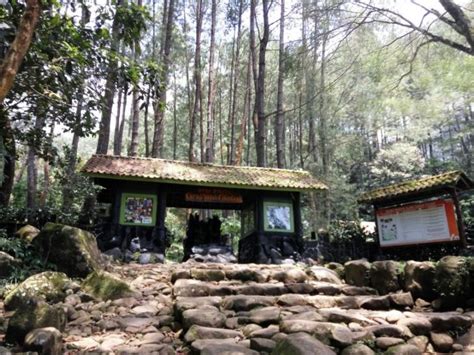 Hal ini dikarenakan curug tersebut memiliki 7 tingkatan air terjun yang bisa kamu telusuri dengan mendaki. Yuk Eksplorasi Curug Tujuh Cibolang, Destinasi Murah ...