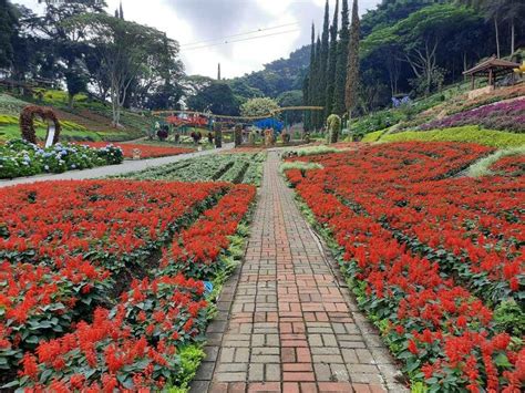 Taman Bunga Paling Indah Di Indonesia