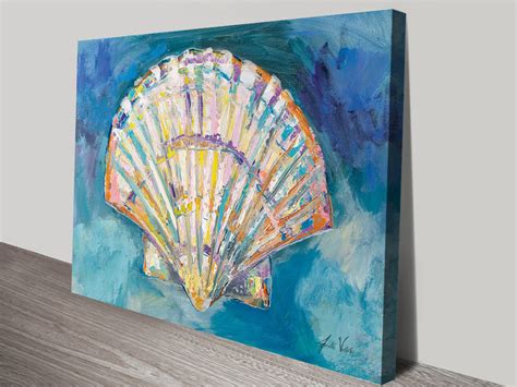 Scallop Shell Stretched Canvas Art Print Cheap Online Artwork Australia