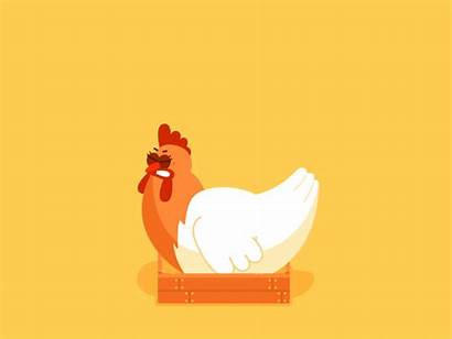 Chicken Dribbble Inspiration Weekly Designers Animated Animation