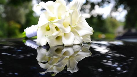 At a funeral, the classic deep red rose evokes love and grief. 5 Tips about White Flowers | Wedding Flowers - YouTube