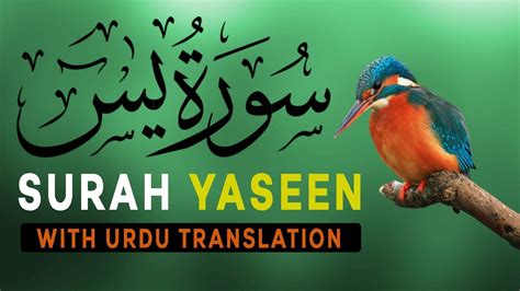 Surah Yaseen سورة يس Surah Yasin Urdu Translation Quran Tilawat