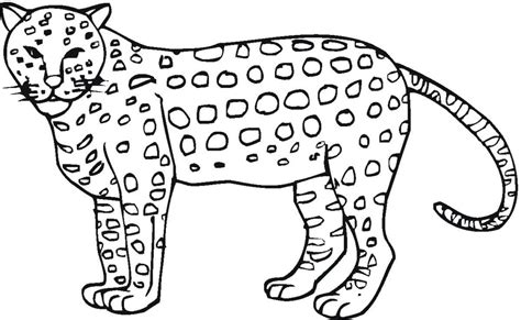 Experience Delightful Cheetah Coloring Stalking Mind Your Humor Center