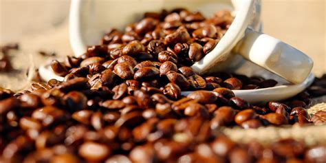 Gaze into your coffee and let your mind wander. Best Dark Roast Coffee Beans (Review & Buying Guide) in ...