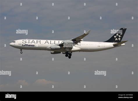 German Lufthansa Airbus A340 300 In Star Alliance Livery With