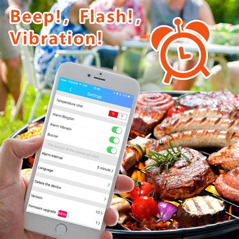 It communicates via bluetooth through the xtender to an app on your mobile phone to let you know the current temperature of the meat and its. 2020 Newest Dual- Probe BBQ Waterproof Itant Read Wireless ...