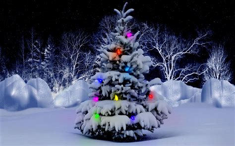 Christmas Tree Snow Wallpaper 73 Images