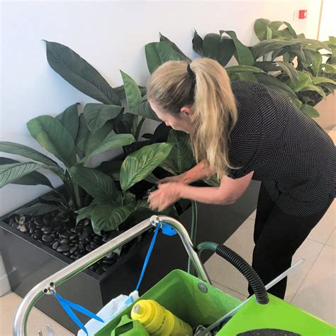 Denver building code provides minimum standards for building in order to safeguard public safety, health and welfare. IEQ Indoor Plant Hire in Brisbane, Interior Plantscaping ...