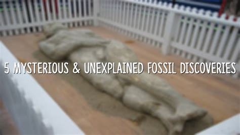 5 Mysterious And Unexplained Fossil Discoveries Youtube