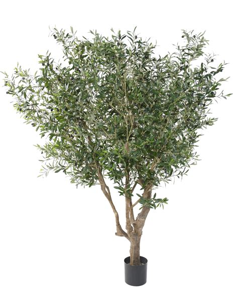 215 Cm Green Artificial Olive Tree Mediterranean Vert Espace