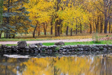 Scenic Autumnal Park With Yellow Trees Near Lake Reflection In Stock