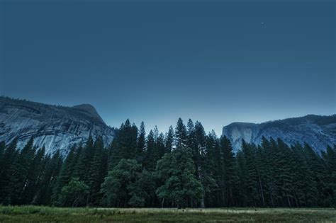 나무 숲 산 미국 캘리포니아 요세미티 밸리 국립 공원 Hd 배경 화면 Wallpaperbetter