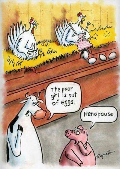 farm funny chicken humor chicken jokes bones funny