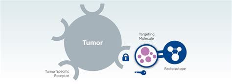Isosolutions Targeted Radionuclide Therapy
