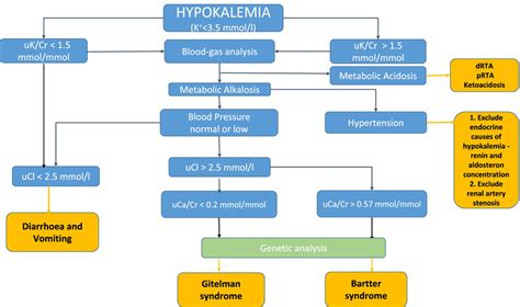 Algorithm For Differential Diagnosis Of Hypokalemia Download