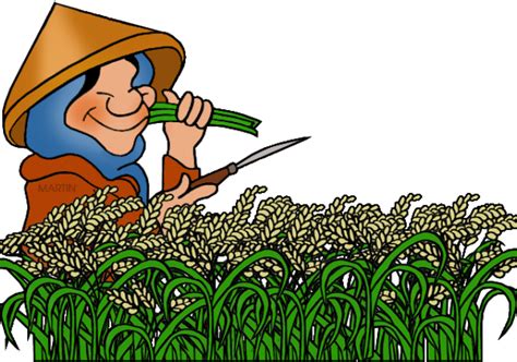 Rice Clipart Clipart Rice Plant Png Download Full Size Clipart