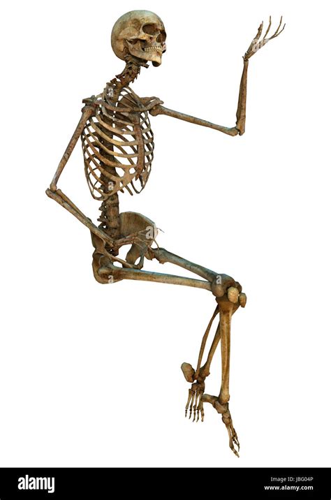 Digital 3d Render De Un Viejo Sentado El Esqueleto Humano Aislado Sobre