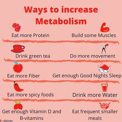 These Are Some Of The Ways That Will Help You Increase Your Metabolism