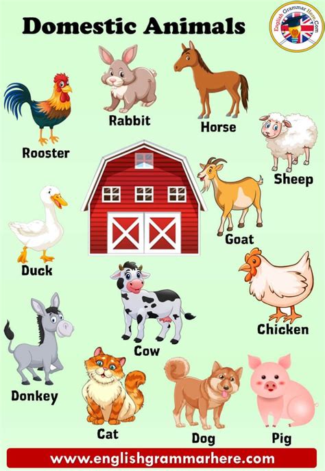 Farm Animals List For Kindergarten