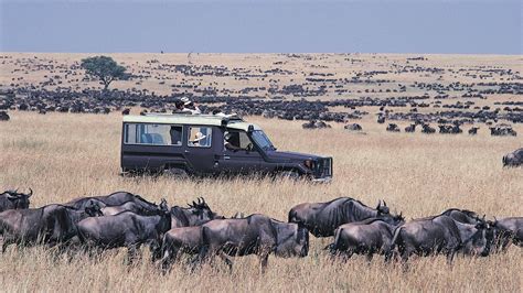 Greatest Of The World Maasai Mara National Reserve In Kenya Kenya