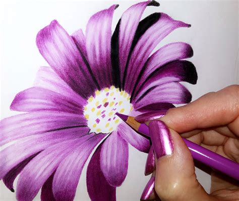 How To Draw Flowers By Jasmina Susak Color Pencil Drawing Flower