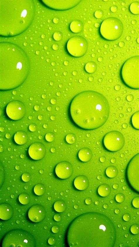 Download Green Drops Wallpaper By Murmicem 63 Free On Zedge™ Now Browse Millions Of Popular