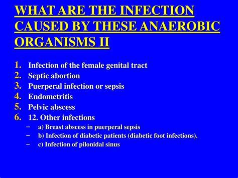 Ppt Clinical And Lab Aspect Of Anaerobic Infection Powerpoint