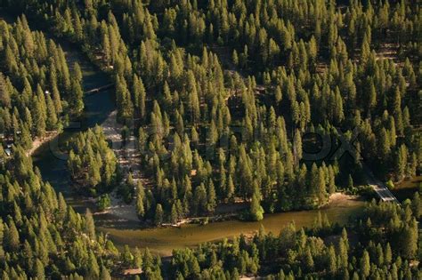 Aerial View Of River In Pine Tree Stock Image Colourbox