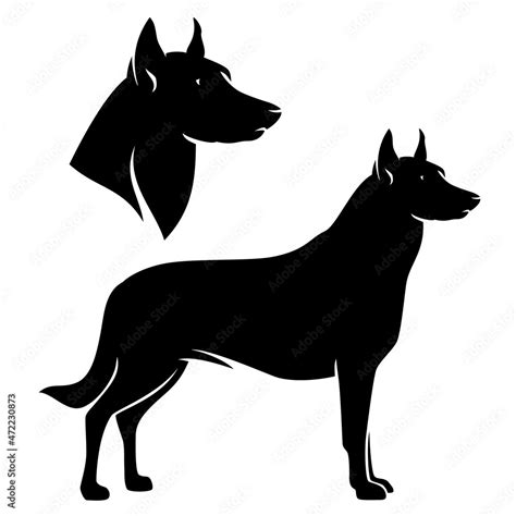 Standing Side View Beauceron And French Shepherd Dog Profile Head