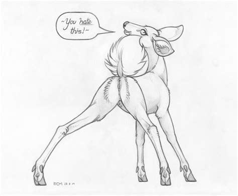 Rule 34 2023 Anus Cervid Cervine Cervine Pussy Cloven Hooves Deer