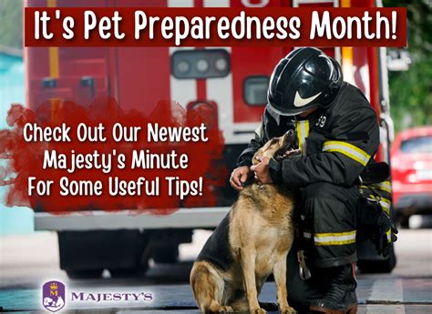 June Is National Pet Preparedness Month Which Gives Us All The Perfect