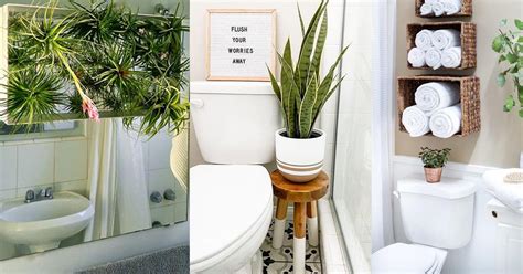 Homelysmart 17 Brilliant Ways On How To Put Plants In Bathroom