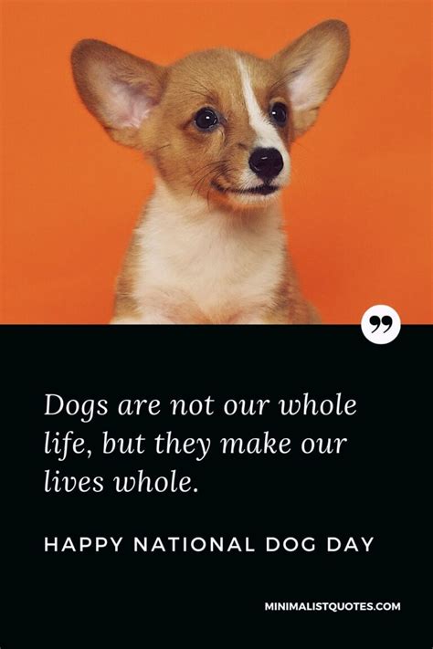 International Dog Day Quotes Wishes And Messages