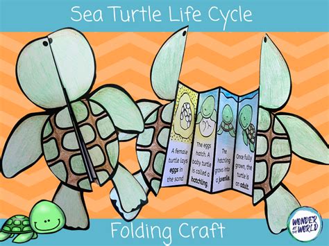Sea Turtle Life Cycle Turtle Crafts Hatchling Baby Turtles Helping