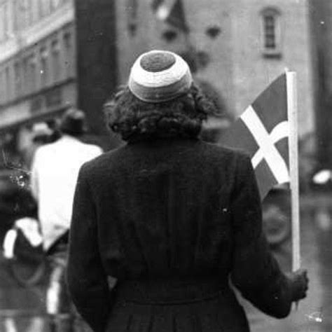 Lol, do you really think czechoslovakia, holland, belgium, luxembourg, denmark and other minor allied countries did more in ww2 than poland? celebration of the liberation of Denmark - May 5 1945 in ...