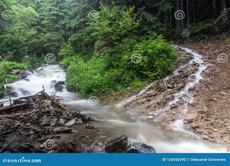 Fast And Rapid Mountain Stream Current After Rain Stock Photo Image