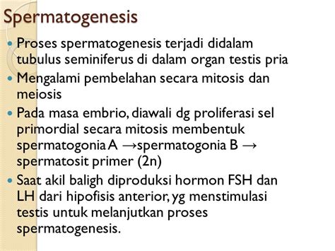 Proses Spermatogenesis Dan Oogenesis Sinau