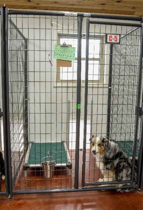 How To Pick A Pet Boarding Kennel An Insiders Guide Tin Woof Inn