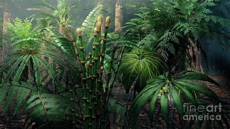 Jurassic Forest Plants Photograph By Masato Hattoriscience Photo Library