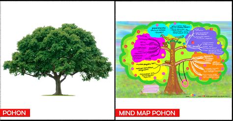 Beberapa kita dan cara cara menghilangkan pikiran kotor dan ngeres yang menjangkiti otak kita adalah dengan menjauhkan pandangan kita dari. Coba Baca! Pengertian Mind Mapping (Peta Pikiran) Yang ...